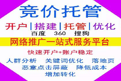 某大型企业选择SEM竞价代运营公司的决策过程与效果评估